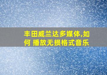 丰田威兰达多媒体,如何 播放无损格式音乐